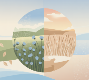 얼굴 피부가려움증의 원인