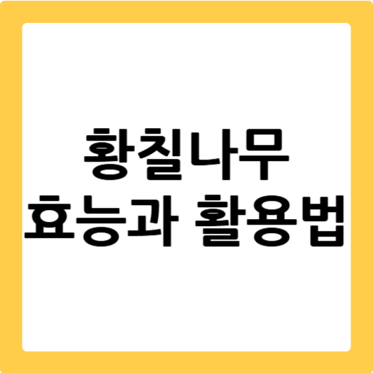 황칠나무 인삼나무 귀한약재 효능 약초