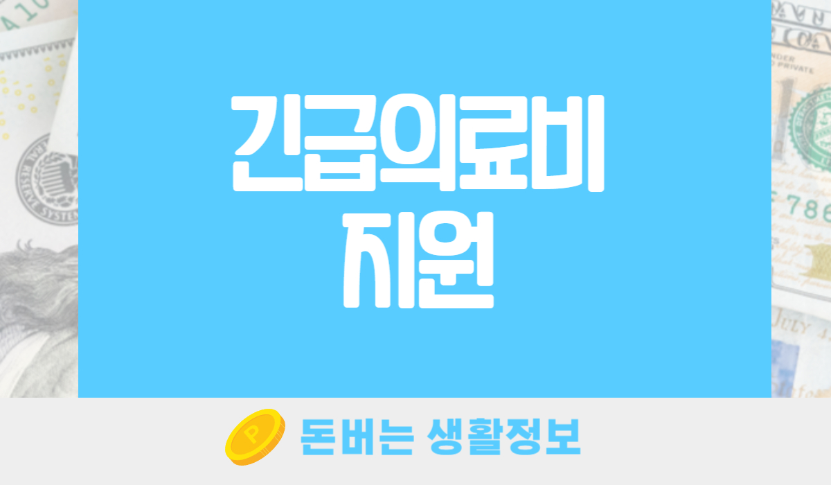 긴급의료비지원