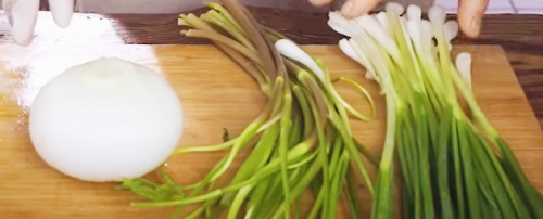 양파 미나리 전파