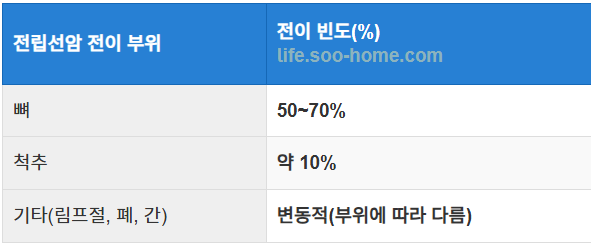 전립선암 전이 빈도