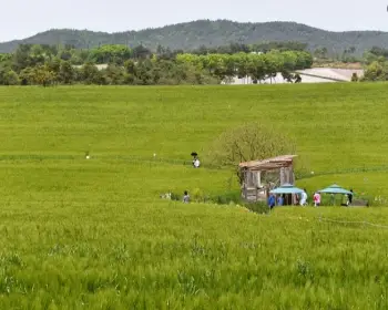 고창 청보리밭 축제_8