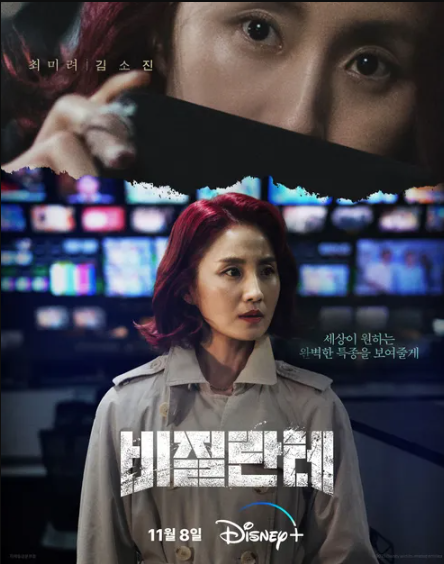 비질란테 최미려