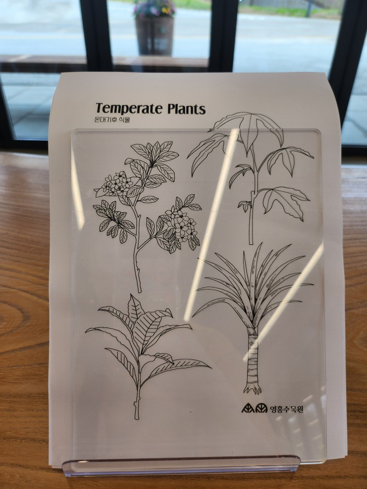 색칠 놀이 도안