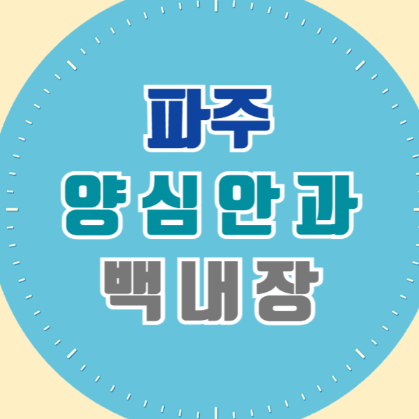 파주 백내장 전문 병원 List 수술 잘하는 안과 추천