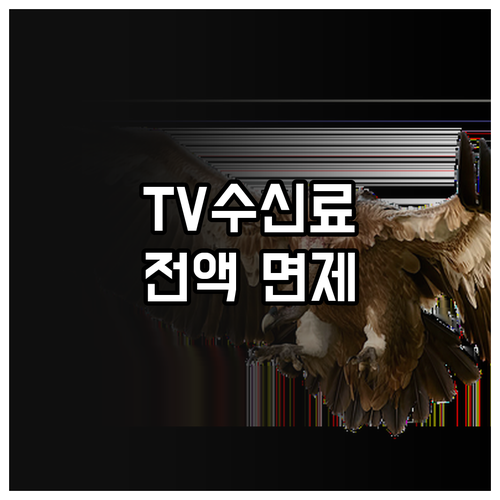 2025 시청각 장애인 TV수신료 면..