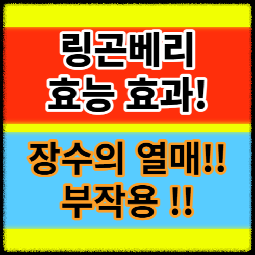 ๋ง๊ณค๋ฒ ๋ฆฌ ํจ๋ฅ ํจ๊ณผ