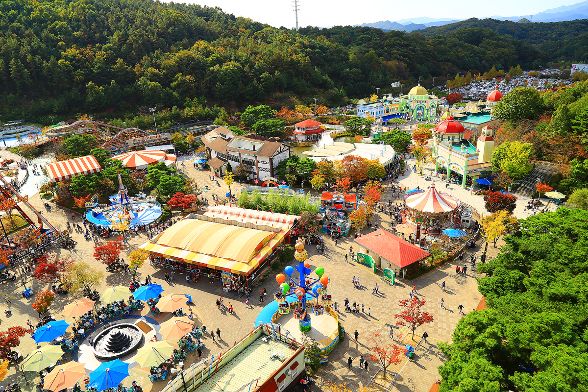대전 0시 축제와 함께하는 관광지 선착순 50% 할인 대전 가보자 GO! (오월드, 아쿠아리움, 도자기클래스)