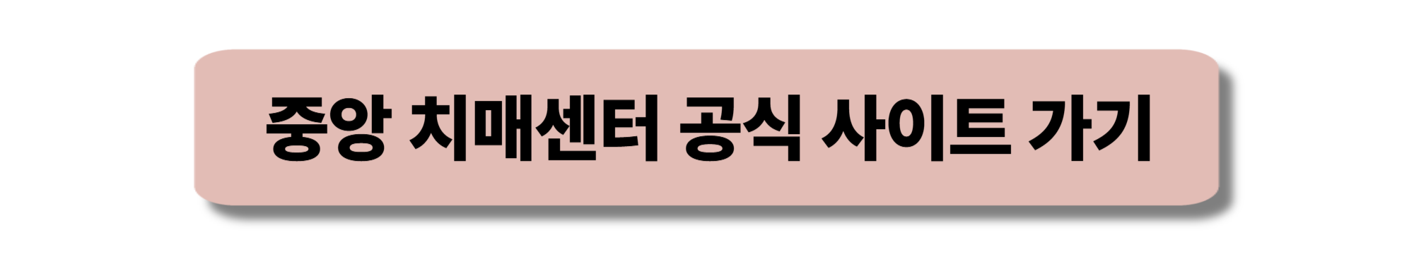 중앙 치매센터
