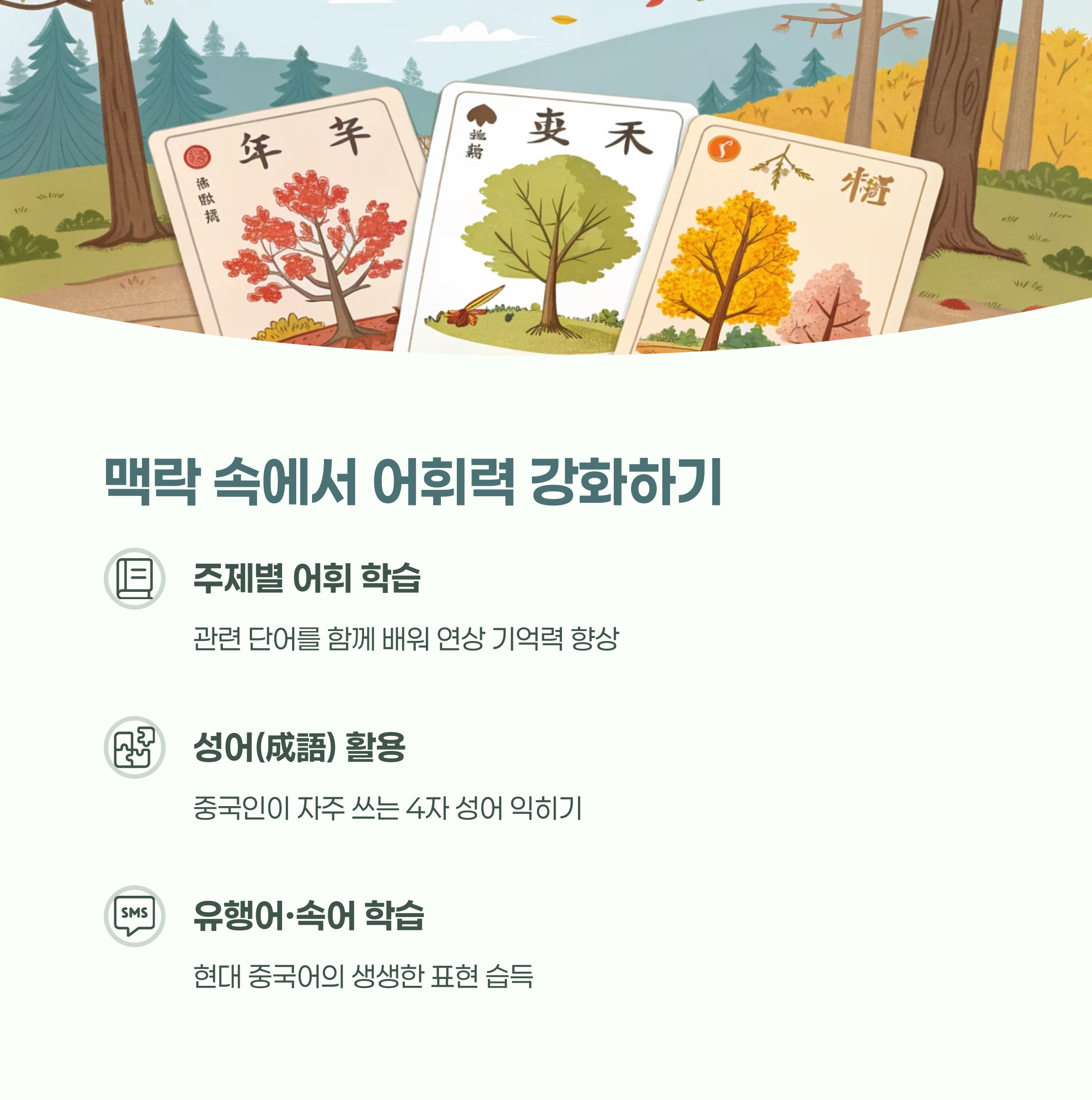 다양한 중국어 어휘가 적힌 카드와 교재 이미지