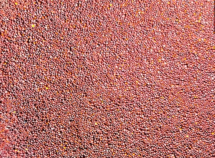 14. 치킨