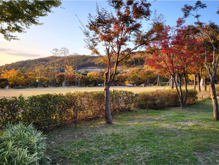 용인자연휴양림