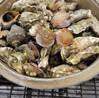 생방송투데이 보령