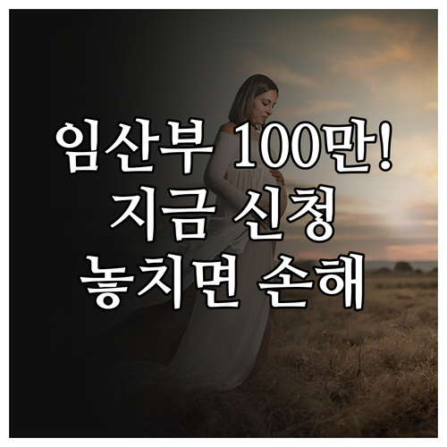 임산부 진료비 지원금 100만원 신청..