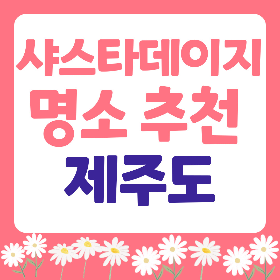 제주도 샤스타데이지 명소