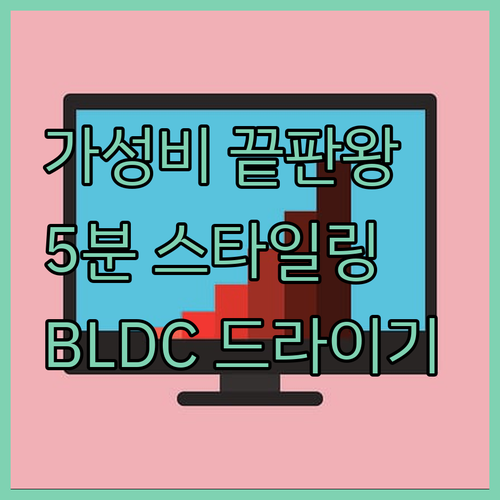 가성비 끝판왕! 블라우풍트 BLDC ..