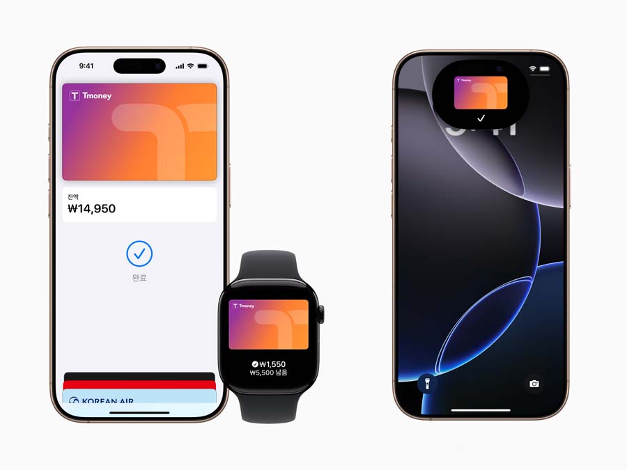 애플페이 티머니 설정