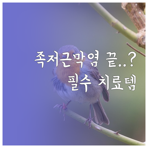 족저근막염 회복을 돕는 치료 장비와 ..