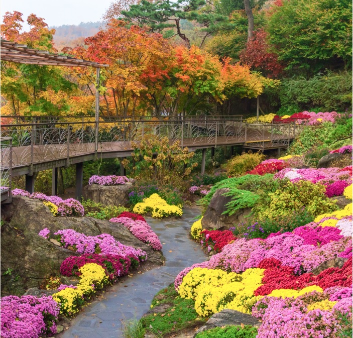 화담숲 가을 단충축제 사전예약 오픈