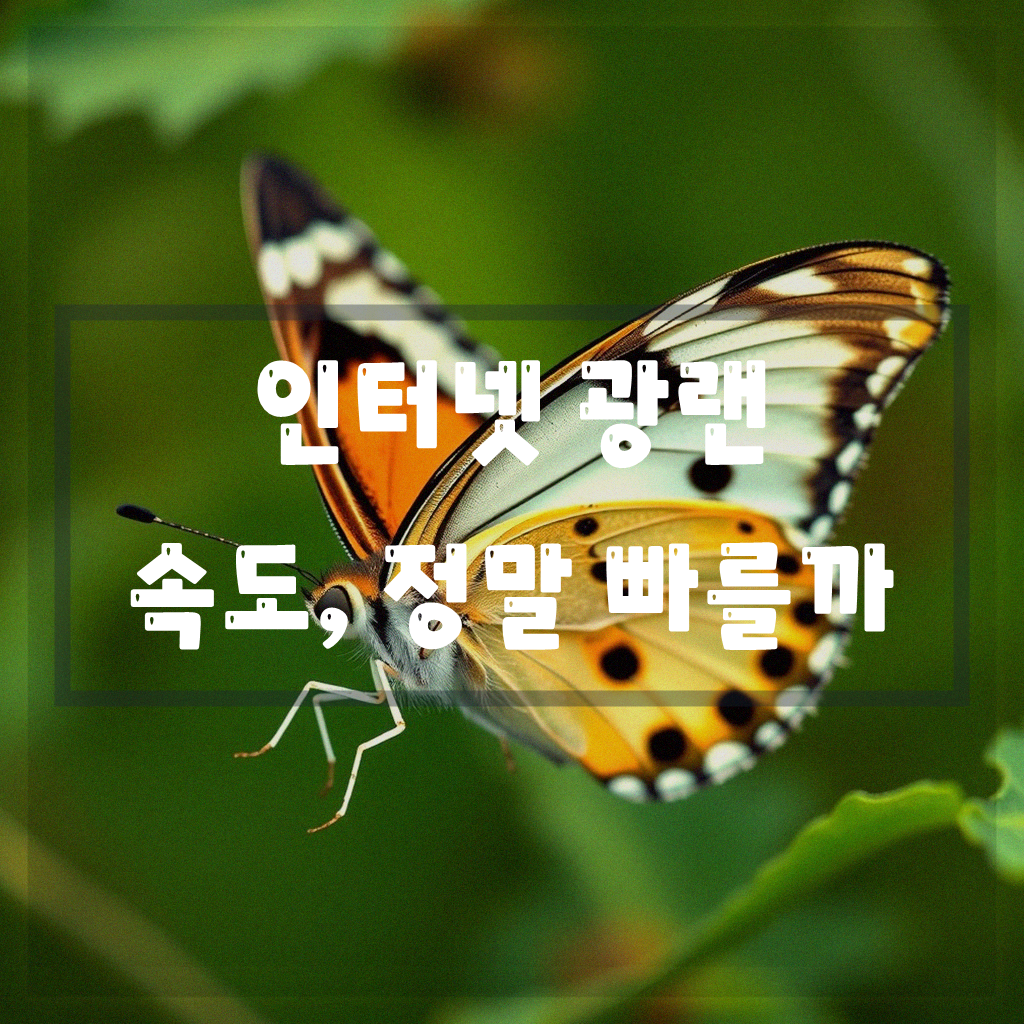 인터넷 광랜 속도와 안정성, 2년 사용자가 느낀 진짜 비교