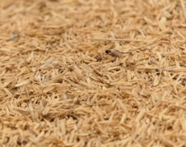 만성 췌장염에 좋은 음식 영양제 식단