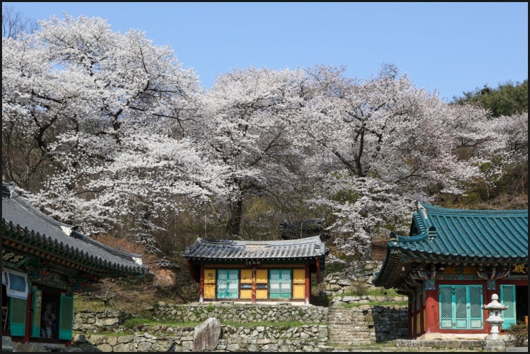 모악산
