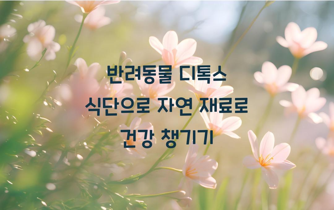반려동물 디톡스 식단, 자연 재료로 건강 챙기기