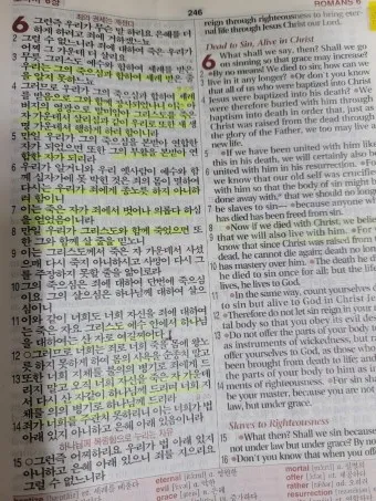 성경읽기 사이트 인터넷 온라인 성경읽기 다운받기 BEST 5_13