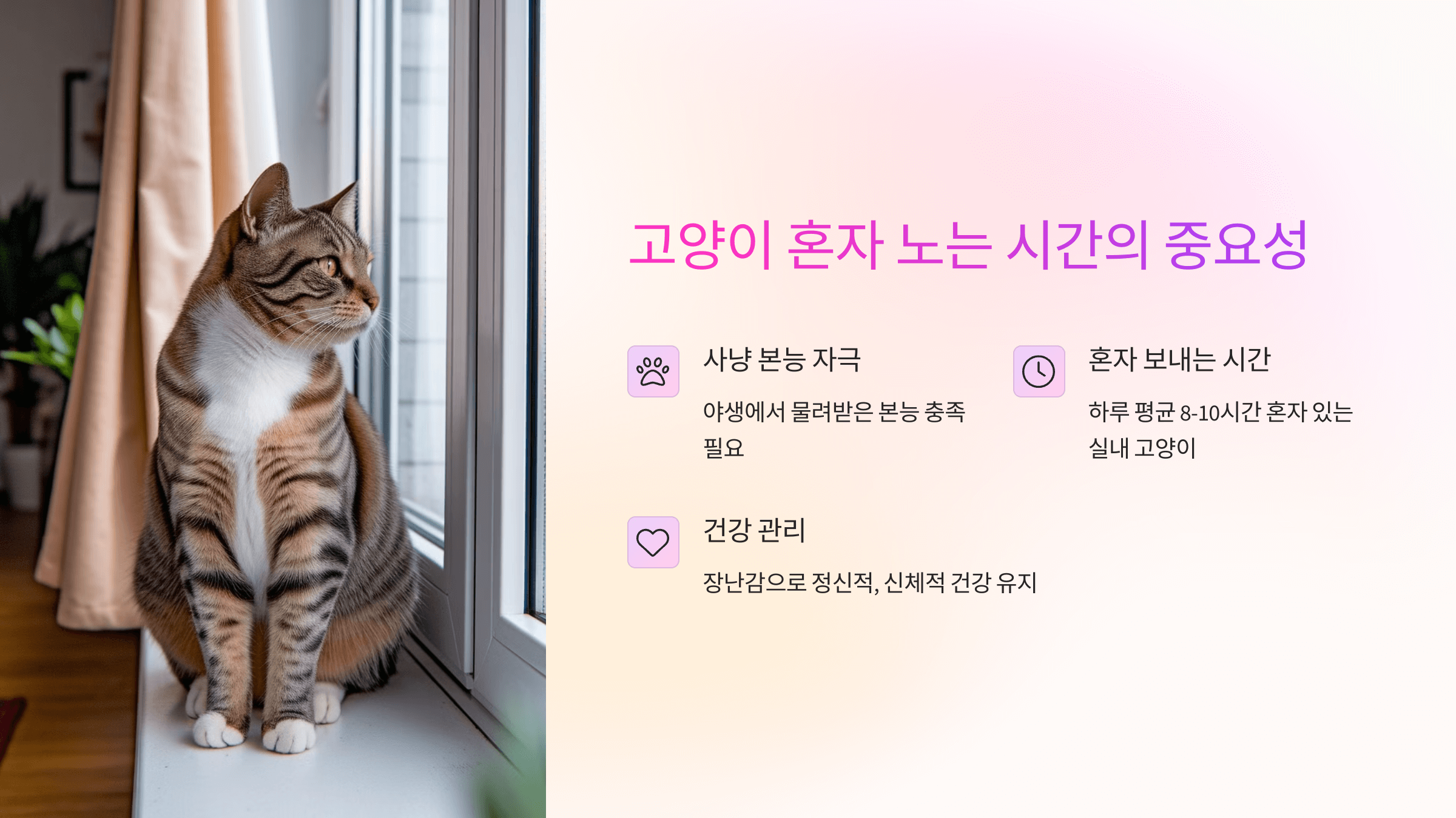 혼자 놀기 좋은 고양이 장난감 추천 