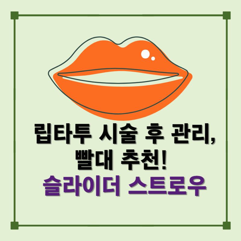 립타투 시술 후, 입술 지켜준 빨대｜다회용 빨래[슬라이더 스트로우] 실사용기 🍀