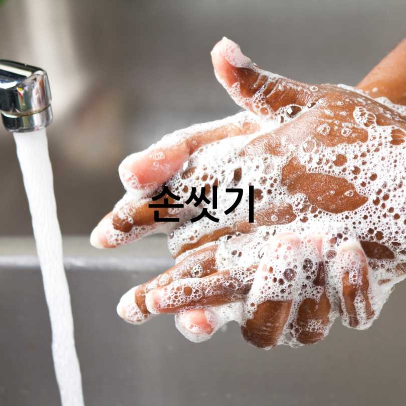 노로바이러스증상