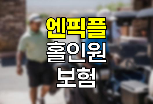 엔픽플 홀인원 보험의 실체와 주의점