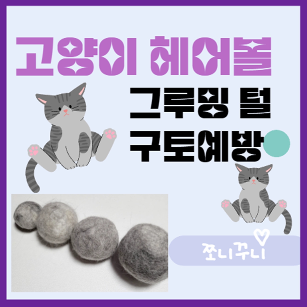 고양이 그루밍 헤어볼 예방
