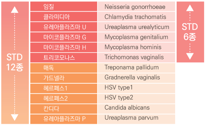 여자 성병검사 비용