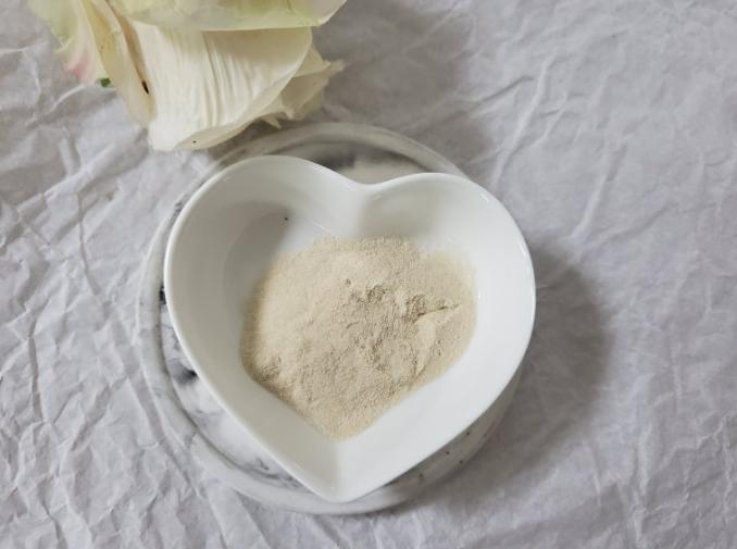 마이디데이 브로멜라인 내돈내산 효과