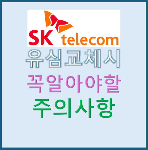 SK 유심 교체 시 꼭 알아야 할 주의사항