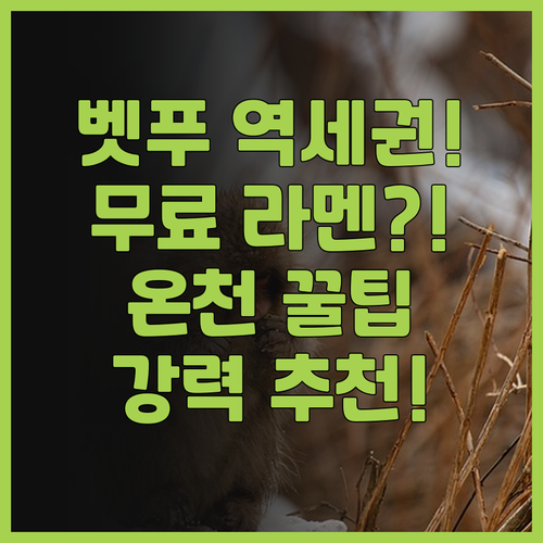 벳푸 핫토 오냐도 노노 벳푸 추천! ..