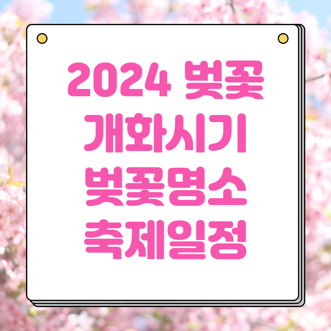 2024 벚꽃 개화시기 만개시기 벚꽃명소 축제일정 총정리