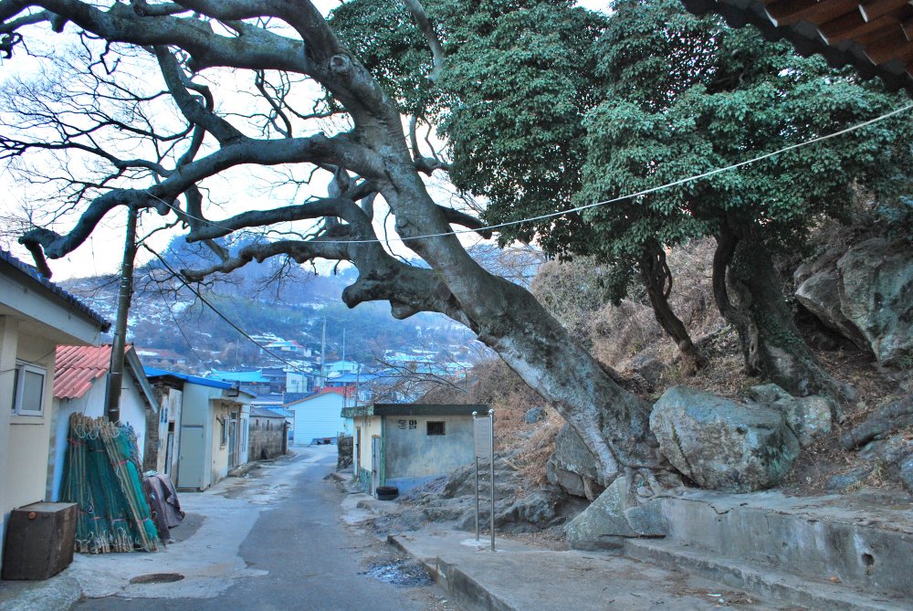 장흥군 대덕읍 옹암마을