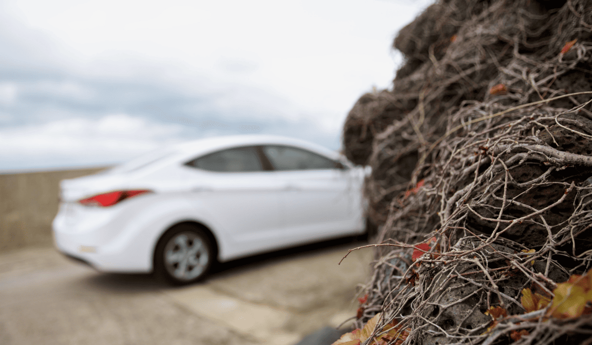 제주_렌트카_비교사이트_28