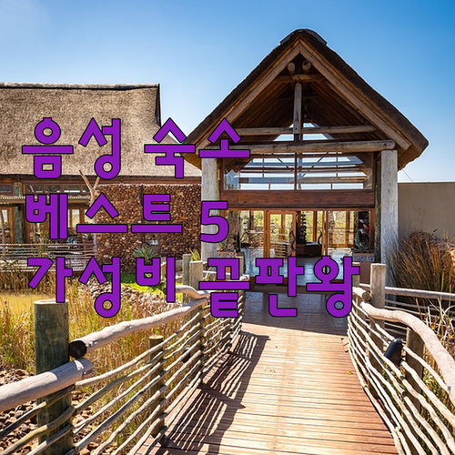 충북 음성 숙소 추천 베스트 5 비즈..