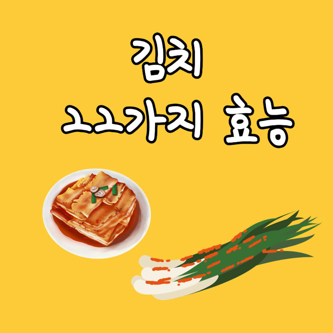 김치의 효능 22가지