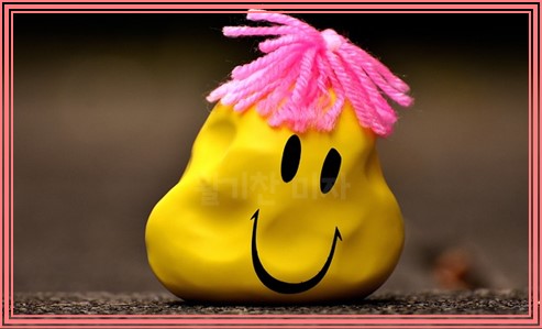 임신 중 알콜 섭취 위험성 7가지