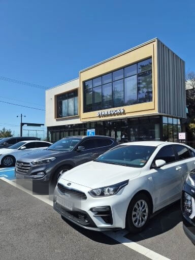 제주 혼자 여행