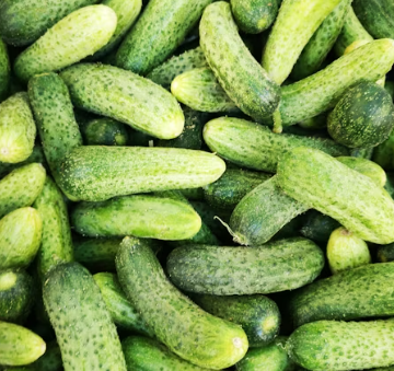 갱년기에 좋은 음식