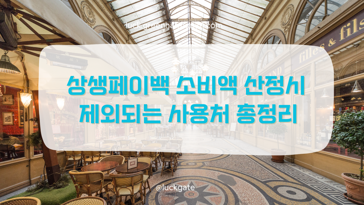 상생페이백 제외사용처