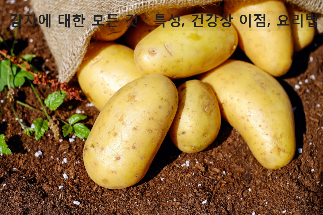 감자에 대한 모든 것 : 특성, 건강상 이점, 요리법