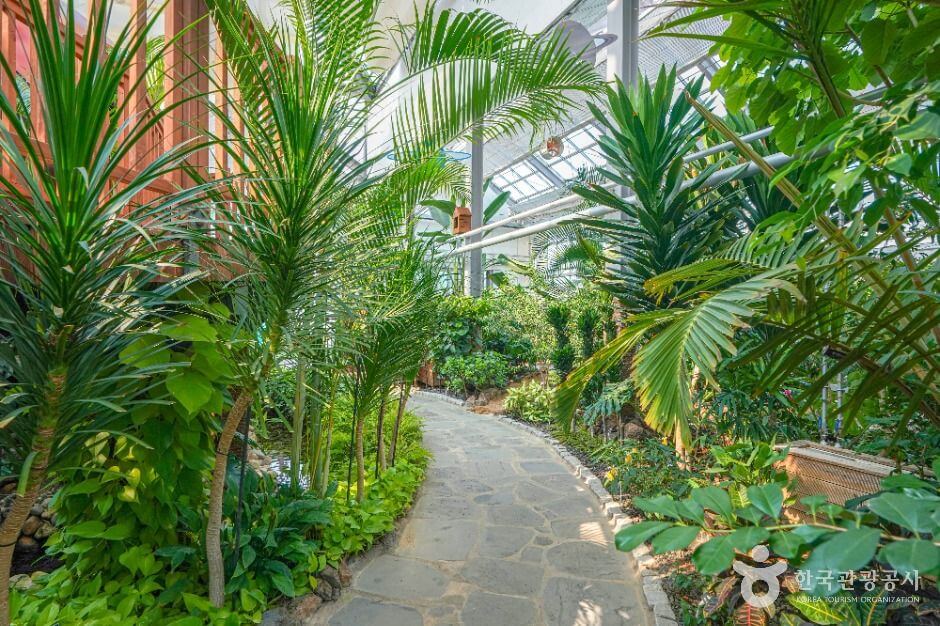 의령 가볼만한곳 베스트 10