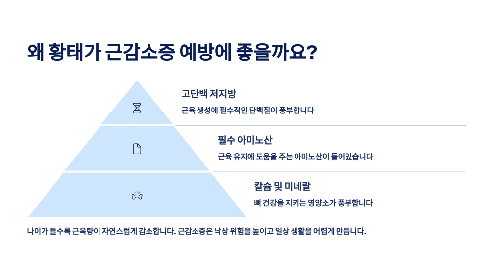 왜 황태가 근감소증 예방에 좋을까요?