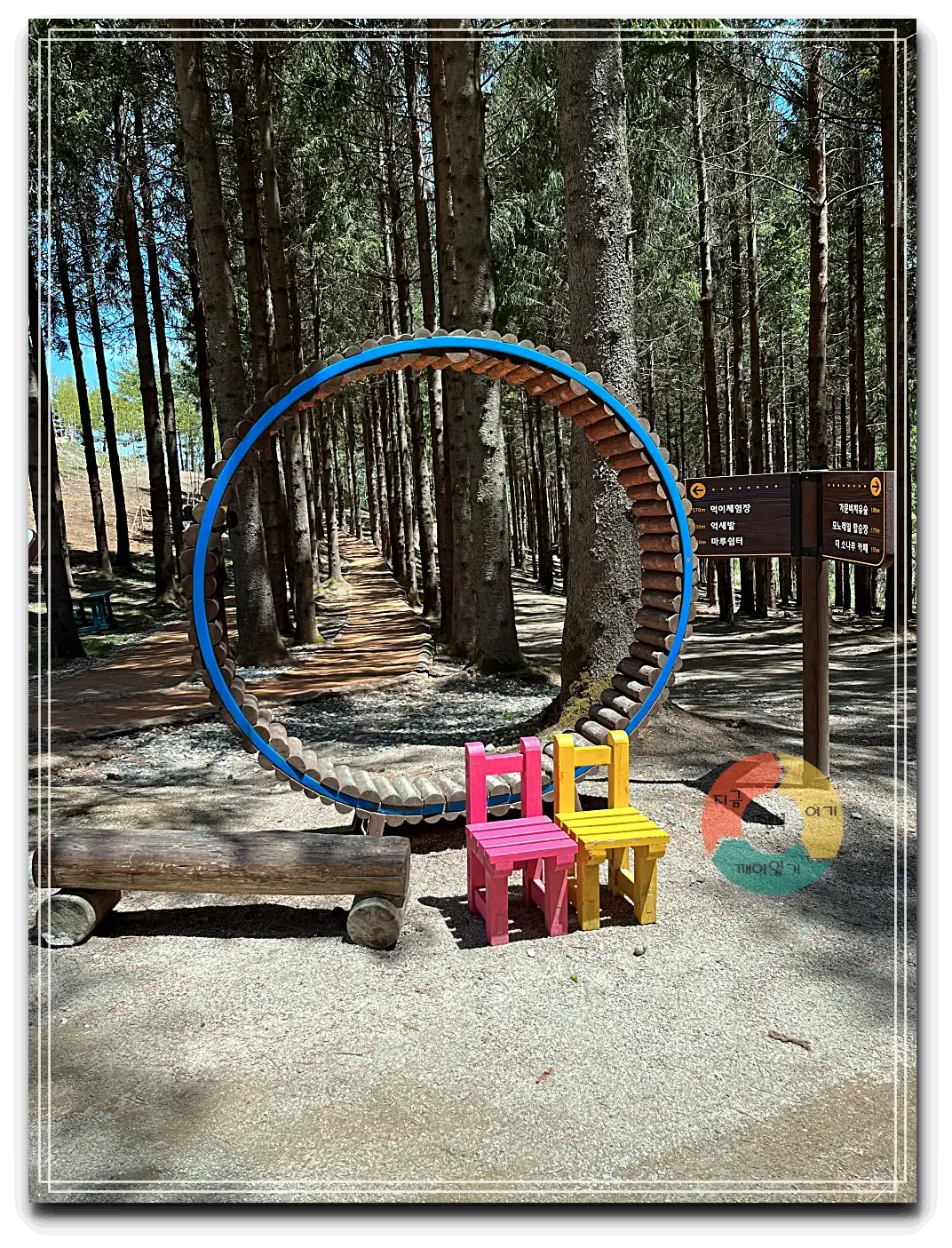 애니포레_가문비나무숲-파란원통-분홍-노랑-나무의자